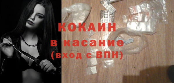 хмурый Арсеньев