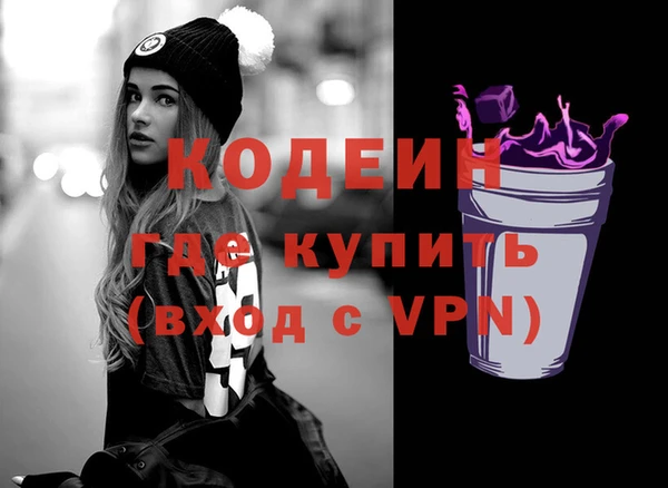 хмурый Арсеньев