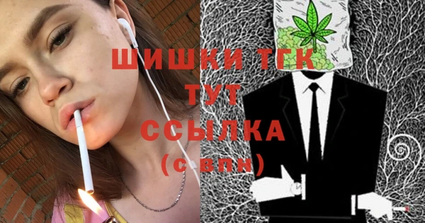 хмурый Арсеньев