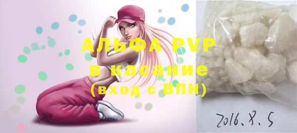 хмурый Арсеньев
