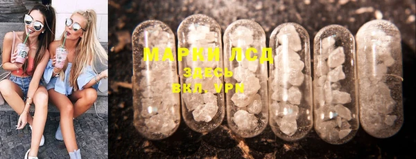 spice Аркадак