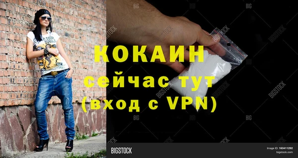 хмурый Арсеньев