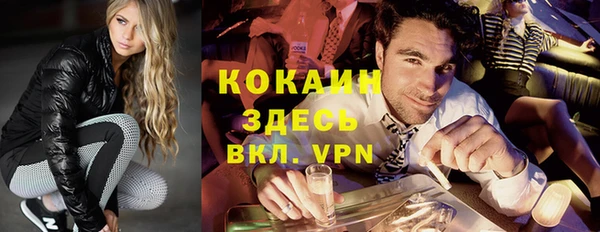 хмурый Арсеньев