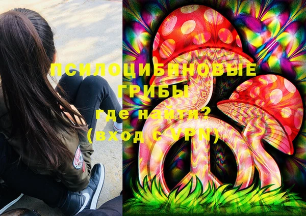 хмурый Арсеньев
